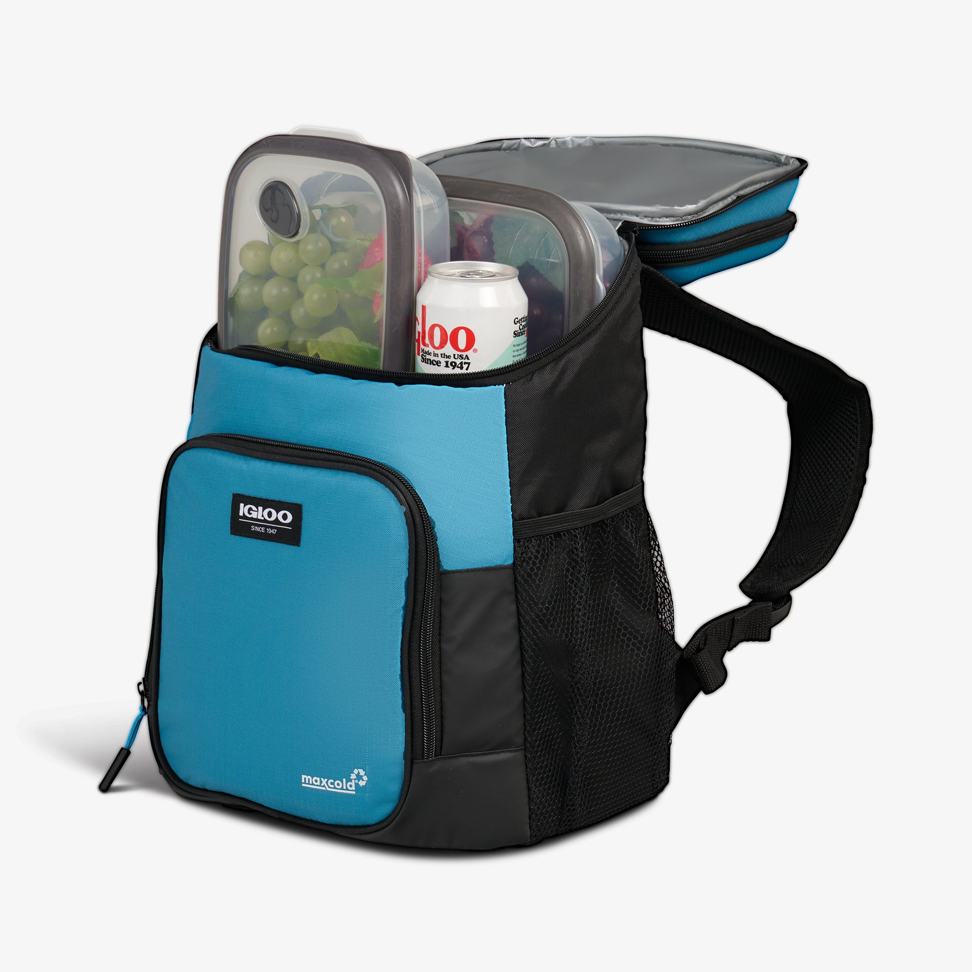 Latitude Hardtop 18-Can Backpack - Image 10